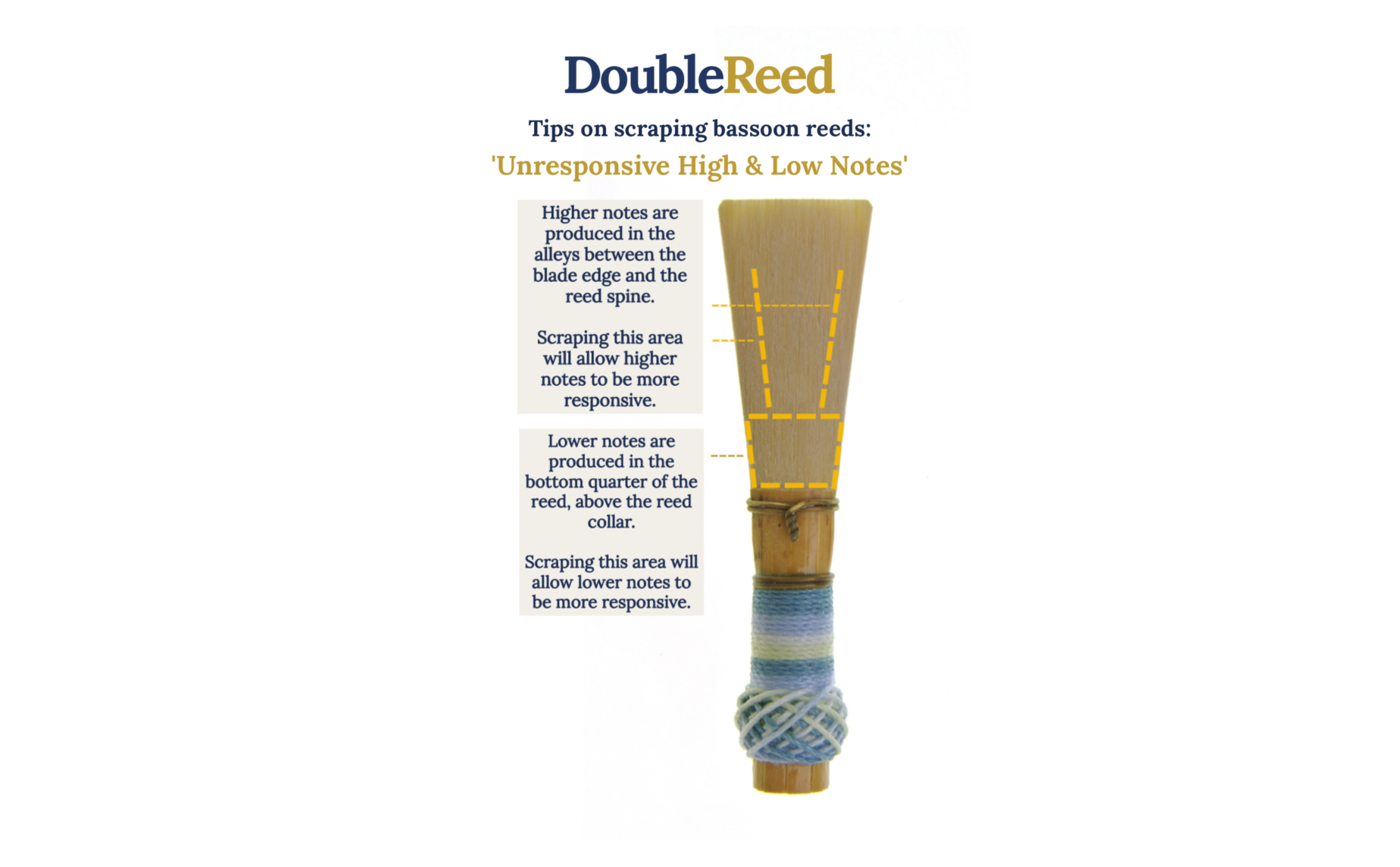 Adjusting bassoon reeds by Double Reed Ltd.: 'Unresponsive High & Low Notes'