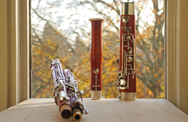Heckel bassoon against Autumn leaves