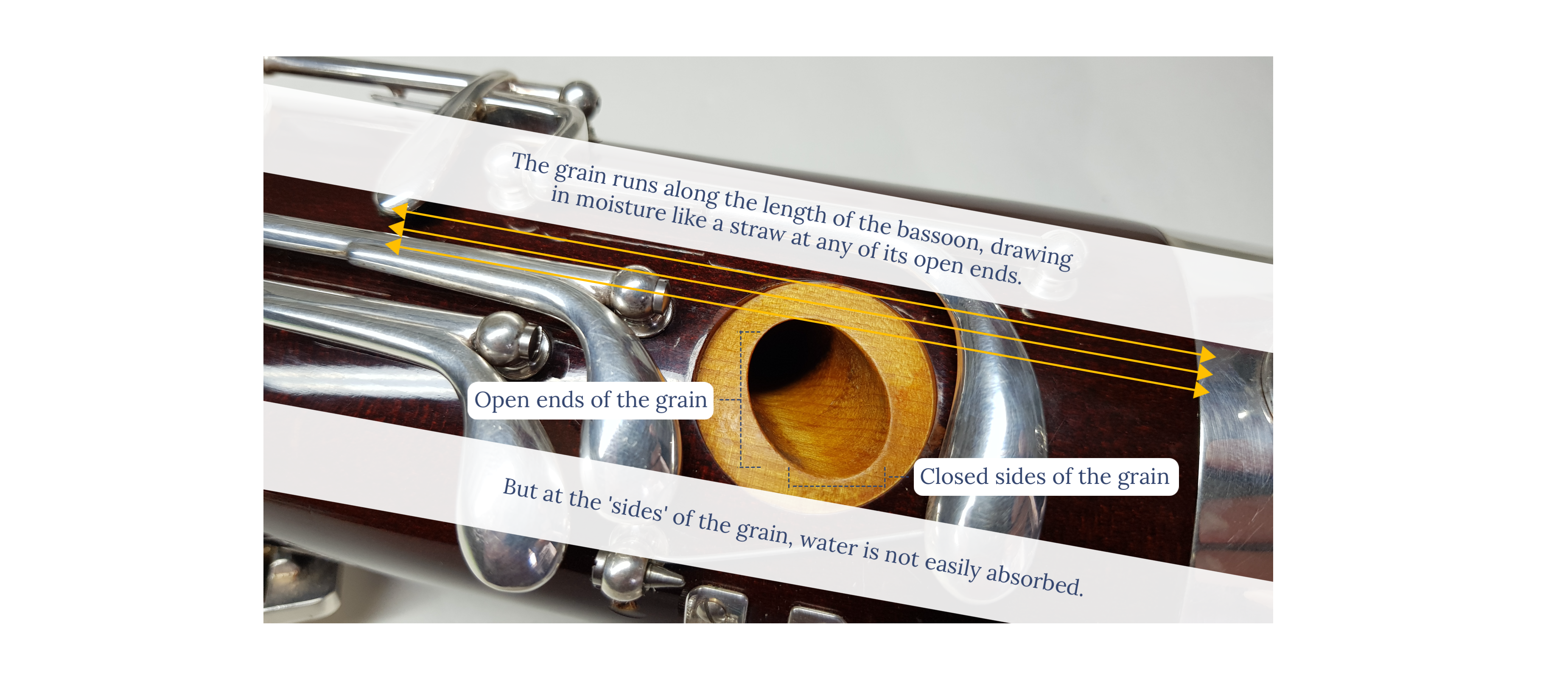 Bassoon tonehole wood grain